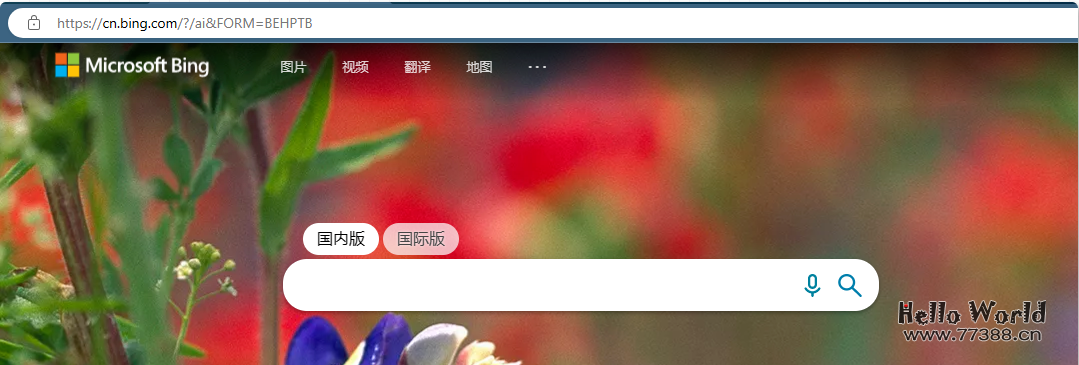 一键部署新必应NewBing网页版,支持ChatGPT-4.0